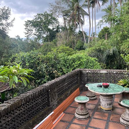 Rumah Kelinci أوبود المظهر الخارجي الصورة