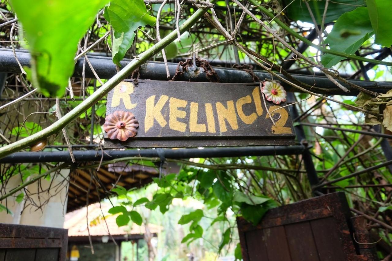 Rumah Kelinci أوبود المظهر الخارجي الصورة