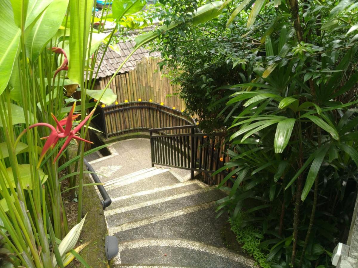 Rumah Kelinci أوبود المظهر الخارجي الصورة