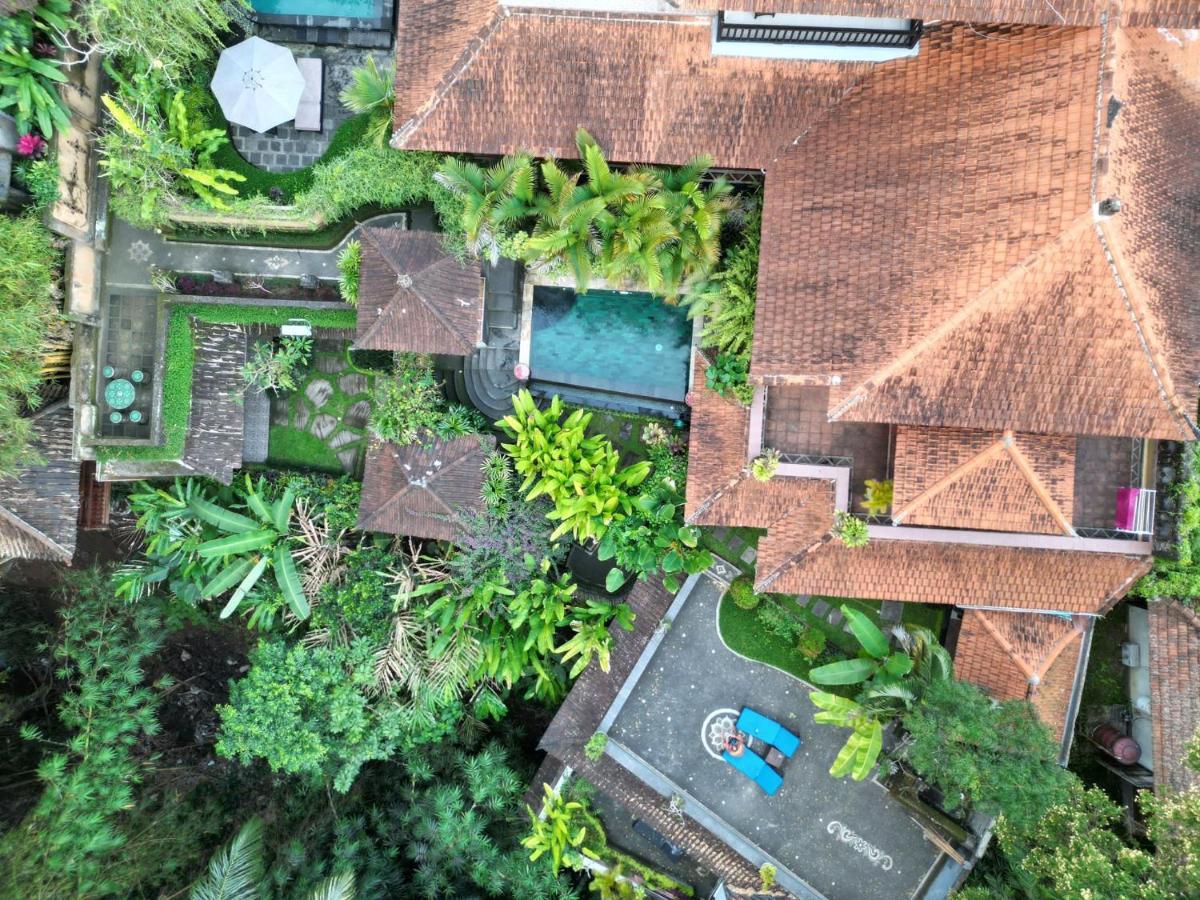 Rumah Kelinci أوبود المظهر الخارجي الصورة