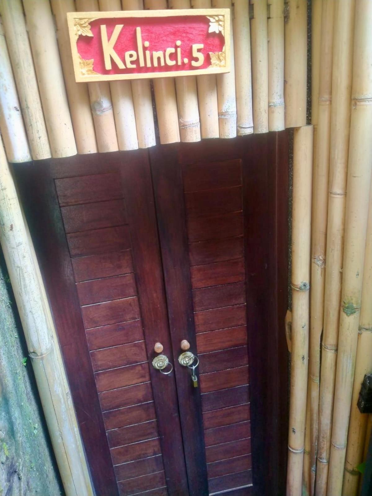 Rumah Kelinci أوبود المظهر الخارجي الصورة