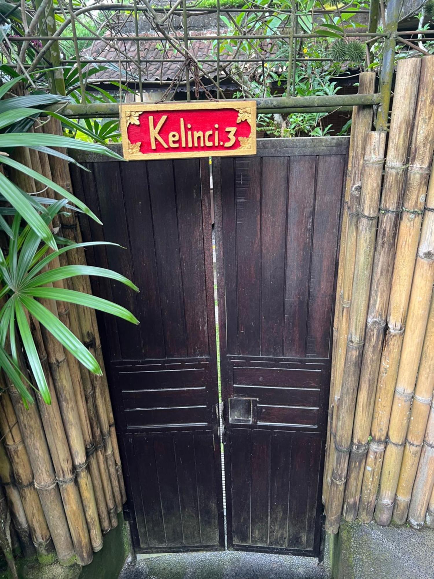 Rumah Kelinci أوبود المظهر الخارجي الصورة