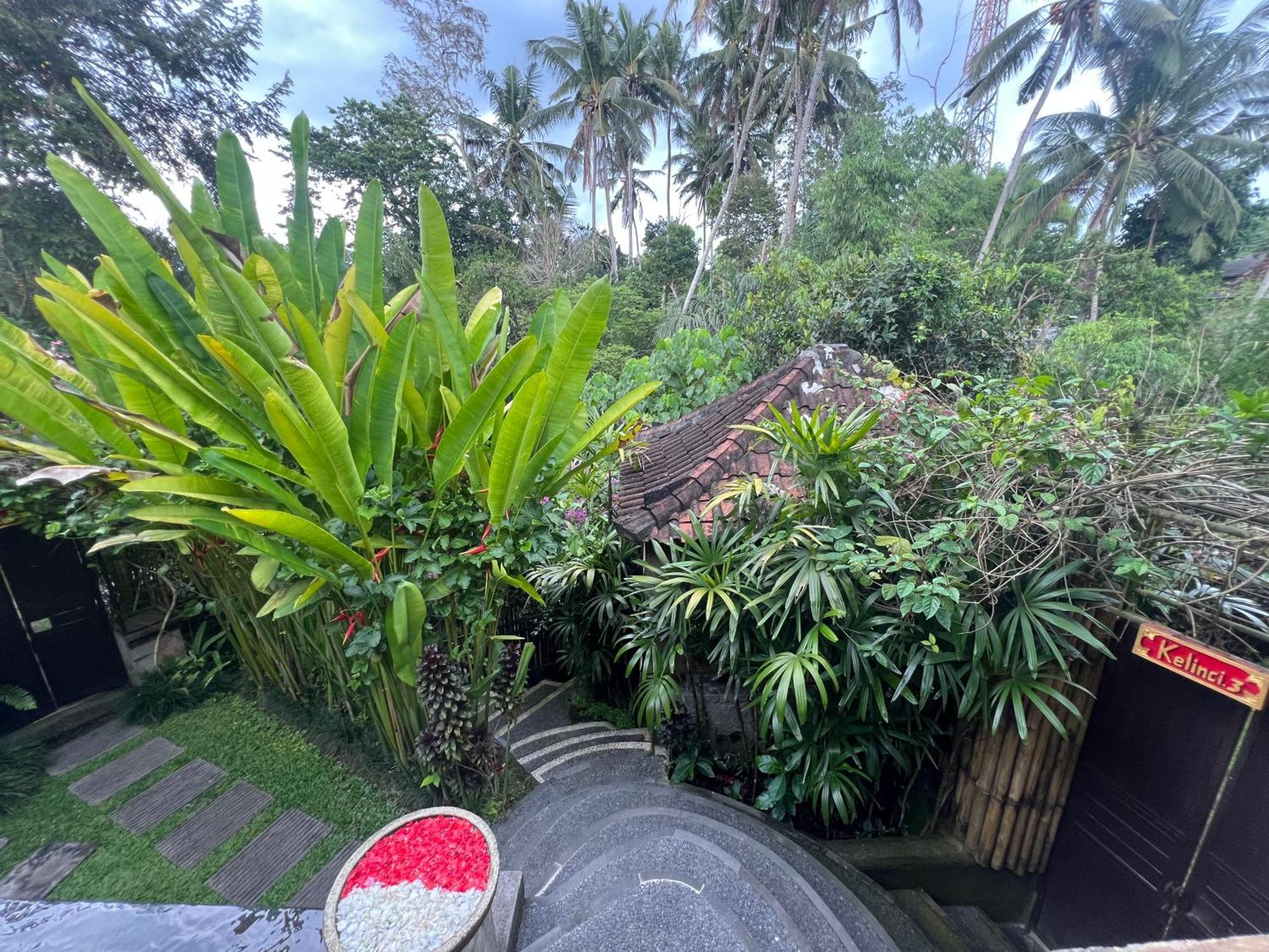Rumah Kelinci أوبود المظهر الخارجي الصورة