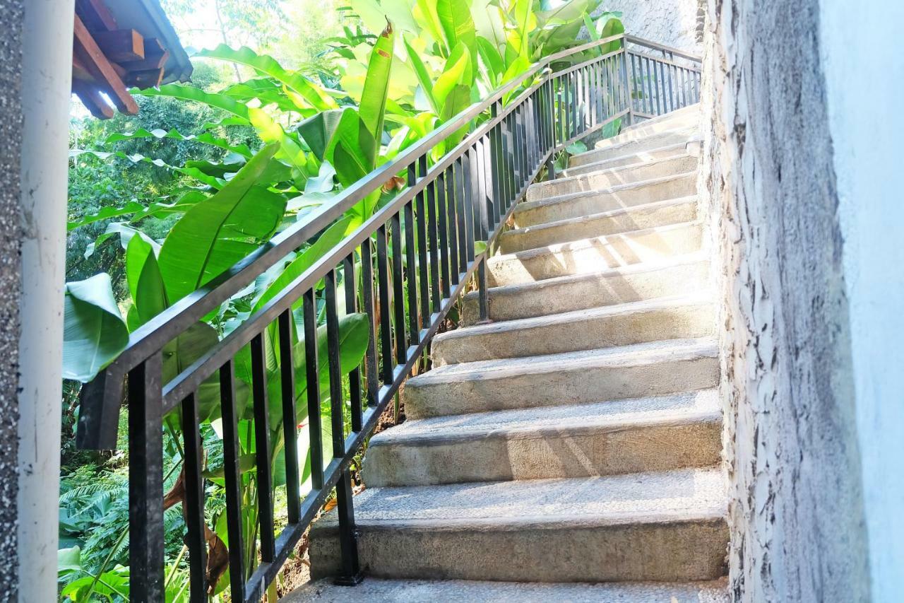 Rumah Kelinci أوبود المظهر الخارجي الصورة