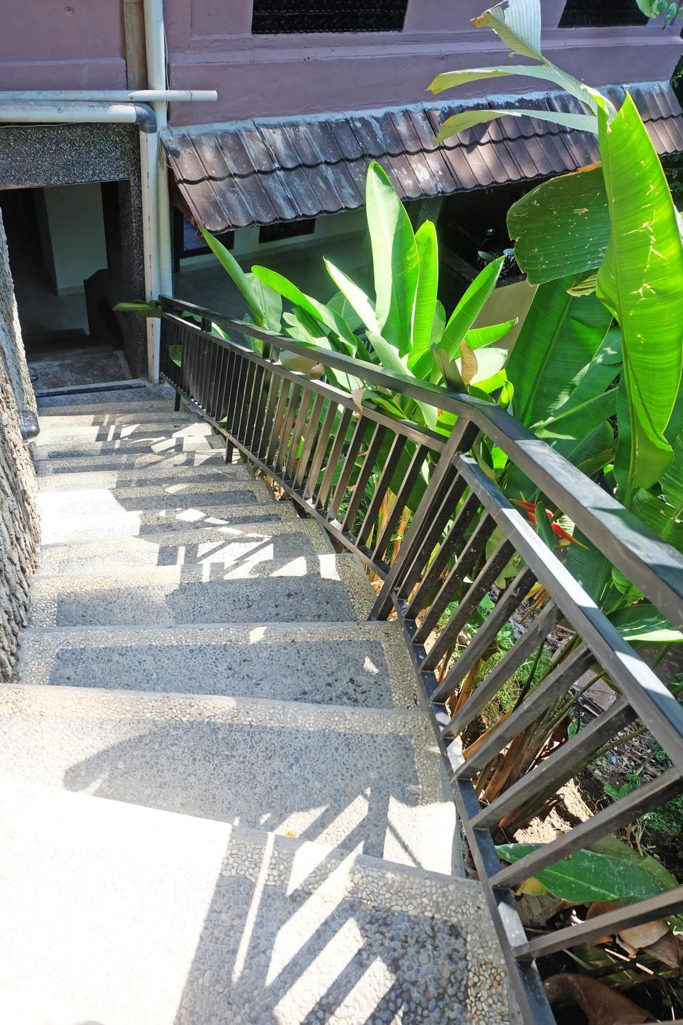 Rumah Kelinci أوبود المظهر الخارجي الصورة